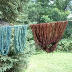 black walnut yarn drying