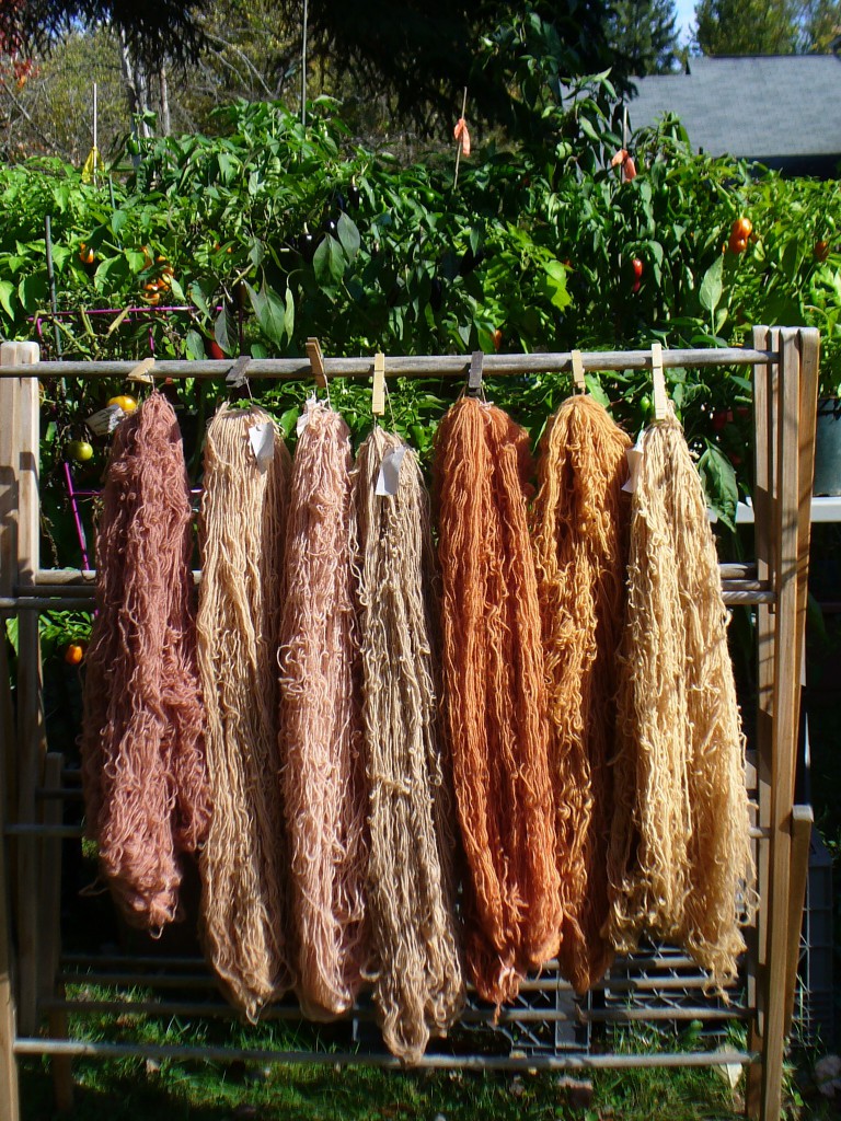 yarns dyed with Lady's Bedstraw roots