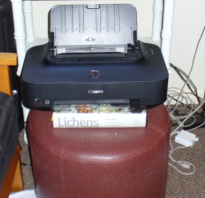 lichen book holding up printer