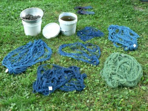 woad yarns taking in the air