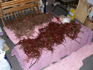 wet and drying madder roots