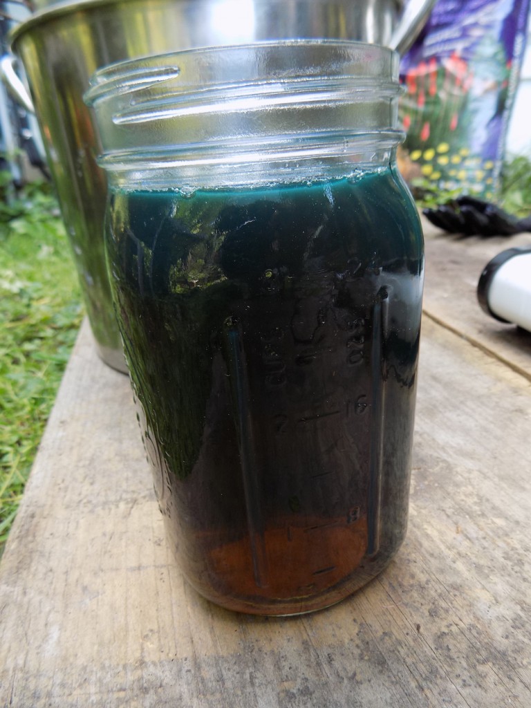 extracted liquid in a jar