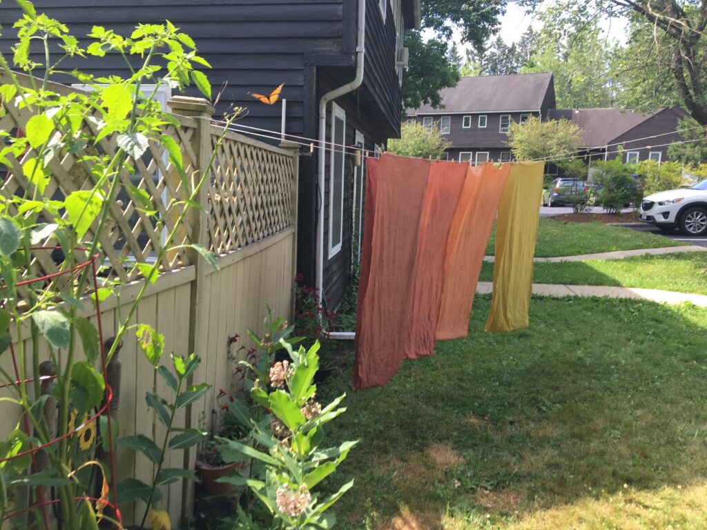 A red, orange, black, and yellow monarch butterfly flies over the fence near long pieces of naturally dyed cloth that are similar shades of red, orange, and yellow.